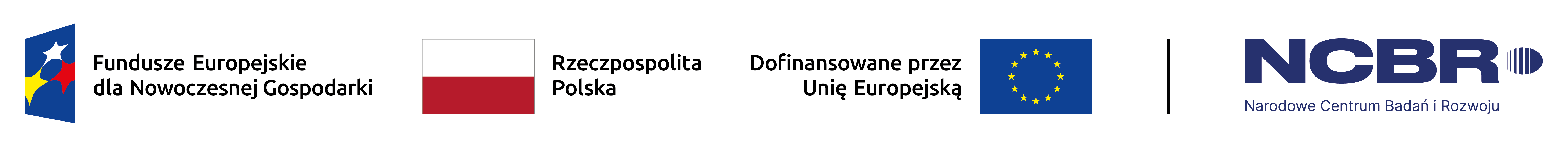 Logo FENG